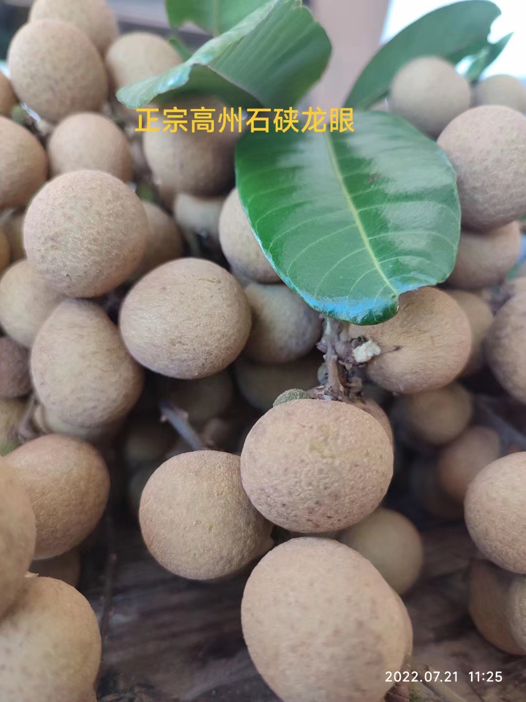 联系方式