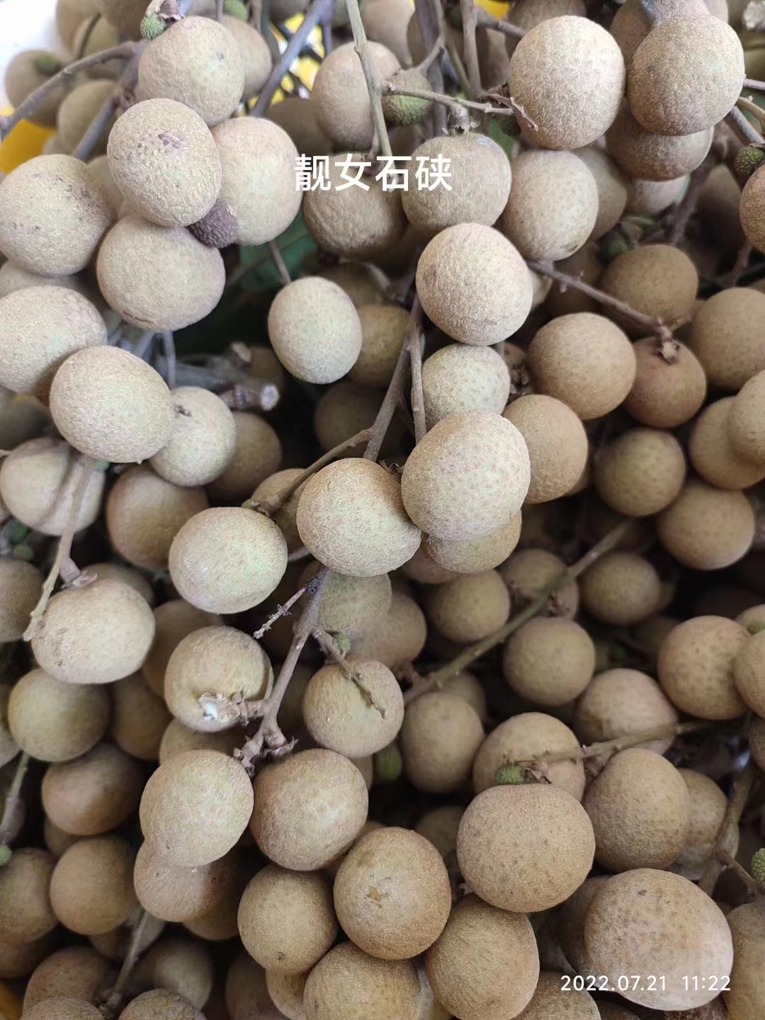联系方式